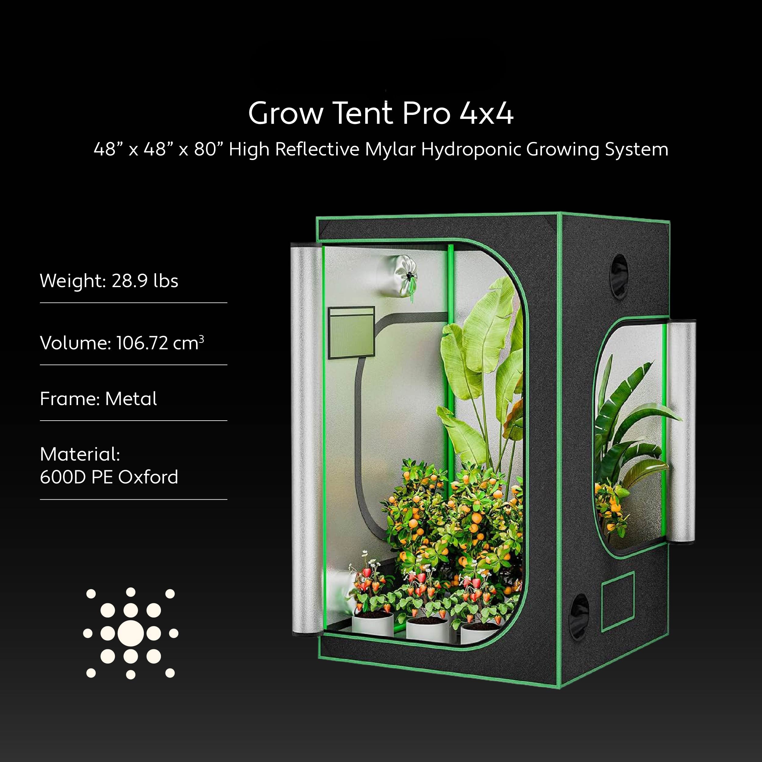 Budget 4x4 Grow System