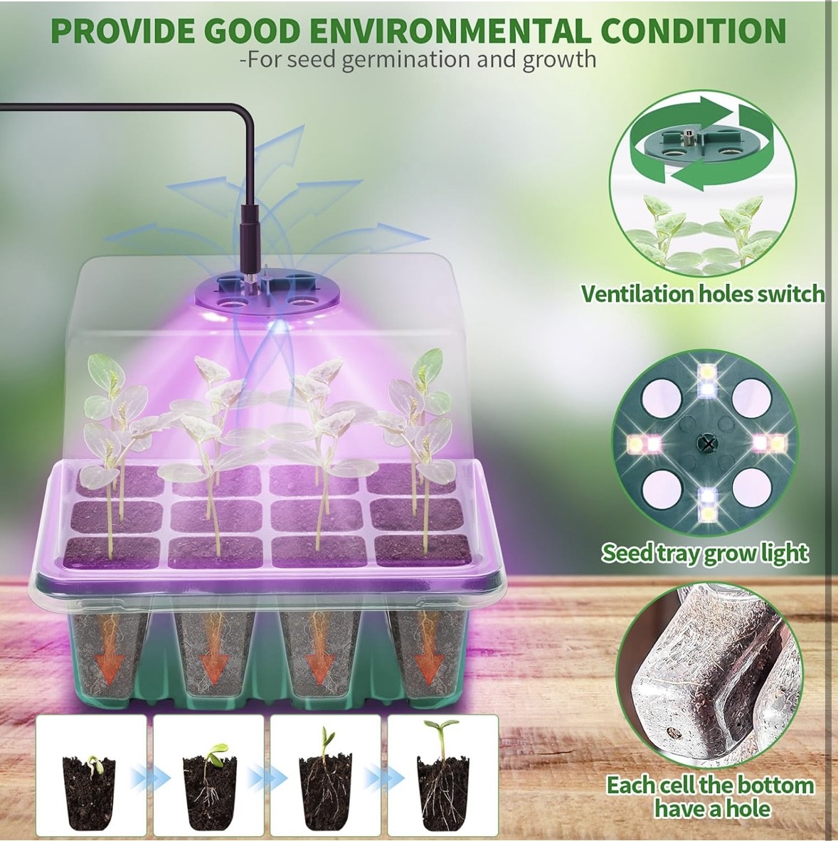 Seedling Starting Tray
